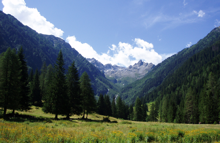 Malghe, laghetti e relax in campeggio in Trentino